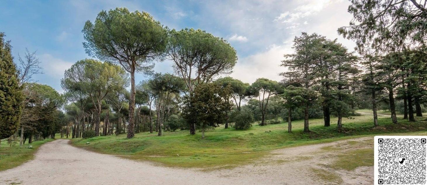 Apartamento Las Rozas Centro Con Parking Incluido Exterior photo
